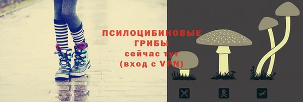 альфа пвп Бугульма