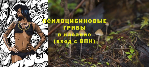 ГАЛЛЮЦИНОГЕННЫЕ ГРИБЫ Гусь-Хрустальный