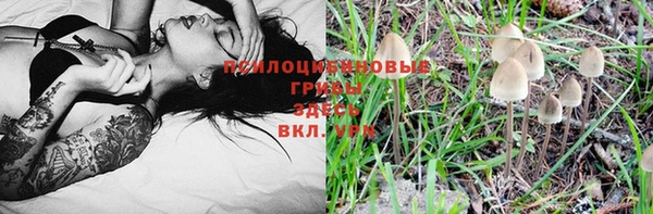 spice Снежинск