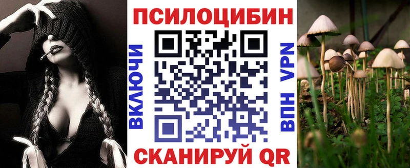 mega ТОР  Минусинск  Псилоцибиновые грибы мухоморы 